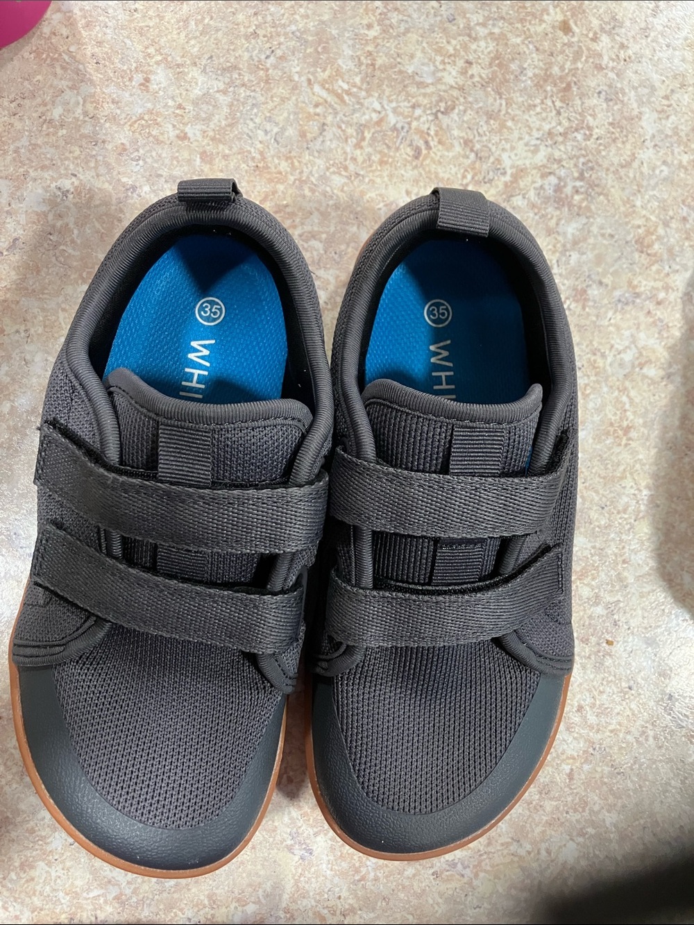 WHITIN Gray Kids Sneakers with Blue Insole and Orange Trim